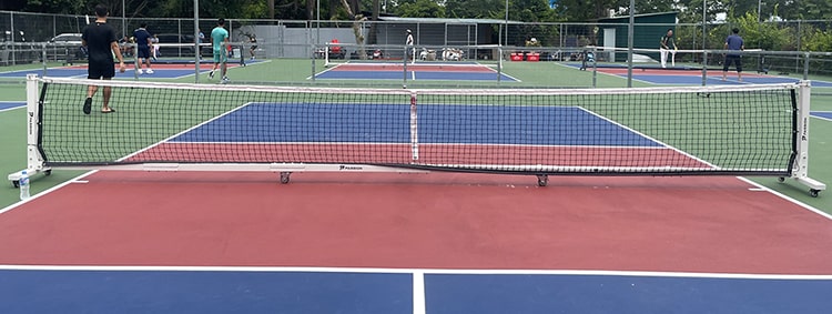 Lưới Pickleball Passion Pro màu trắng