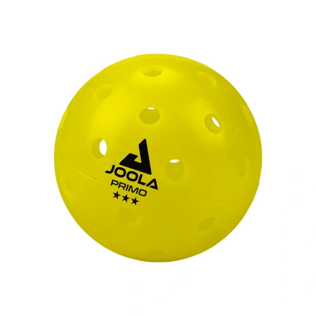 Bóng Pickleball