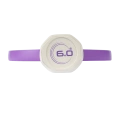 Six Zero Quartz - Amethyst (Purple)