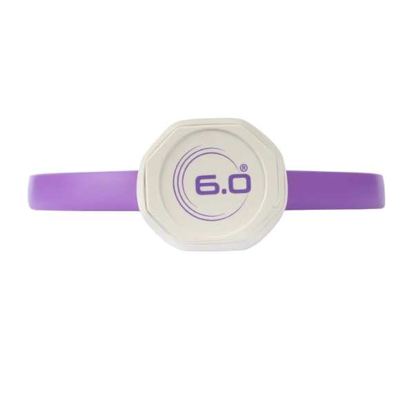 Six Zero Quartz - Amethyst (Purple)